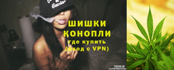 стаф Белокуриха