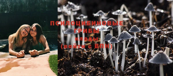 стаф Белокуриха