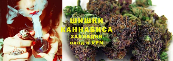 стаф Белокуриха