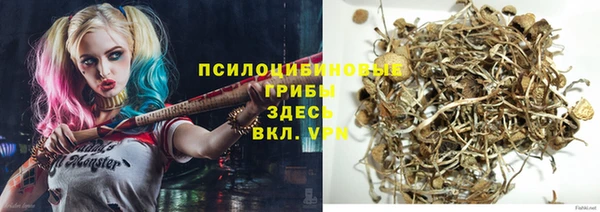 стаф Белокуриха