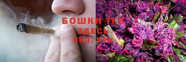 гашик Беломорск