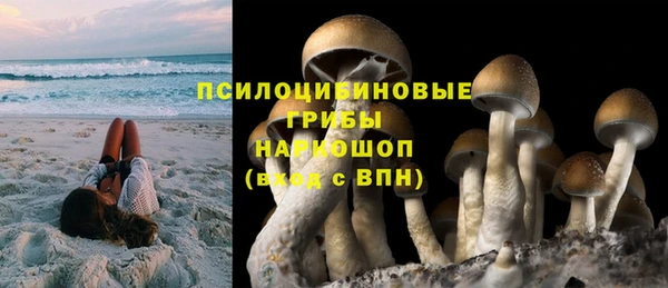 гашик Беломорск