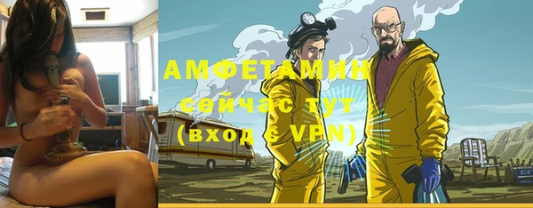 стаф Белокуриха