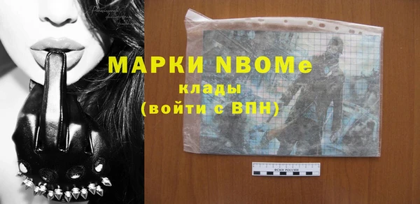 стаф Белокуриха