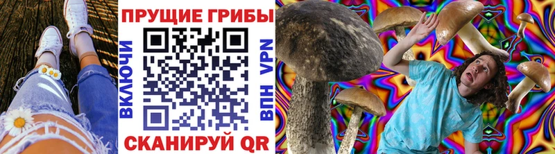 omg рабочий сайт  Гулькевичи  Псилоцибиновые грибы Cubensis 